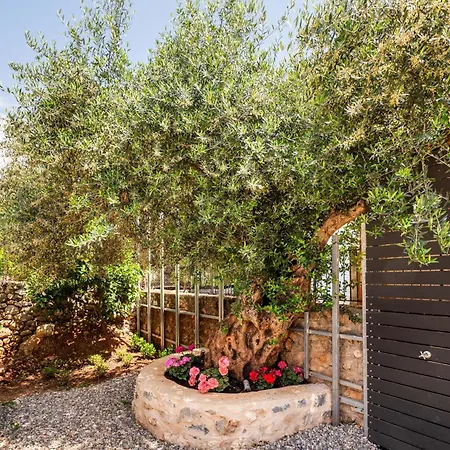 Cardamilia Appartement